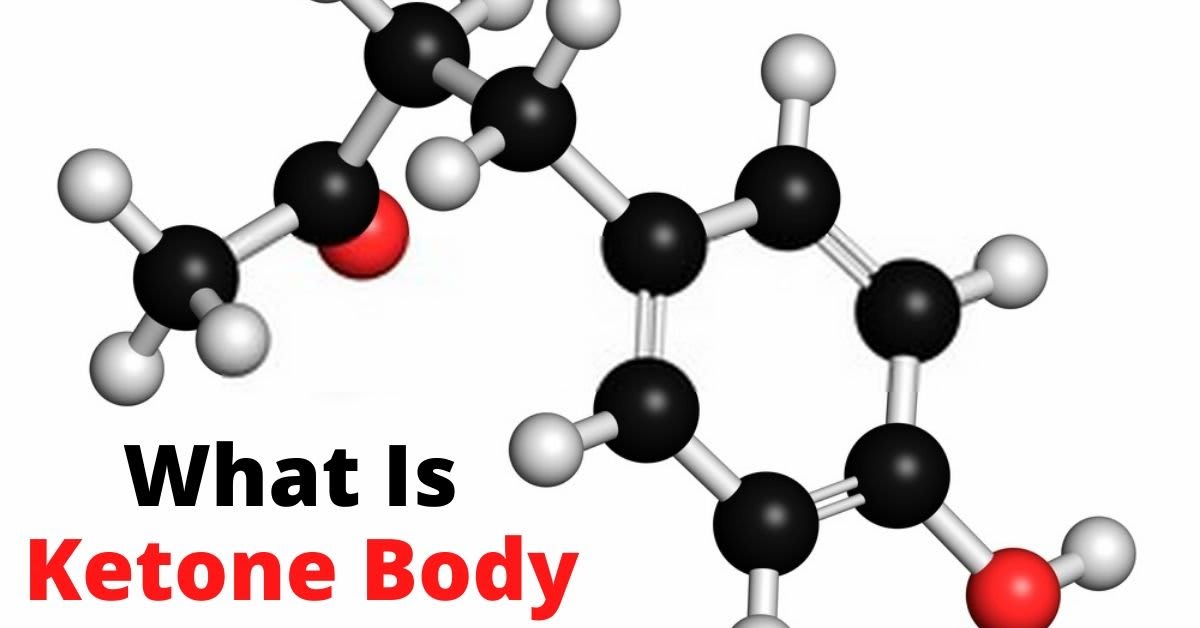 What Is A Ketone Body: Conquer Your Keto Life With 6 Benefits Of Ketone Bodies - The Keto Forum