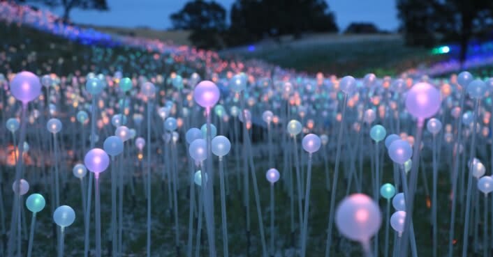 A magical field of solar-powered lights takes over a California landscape