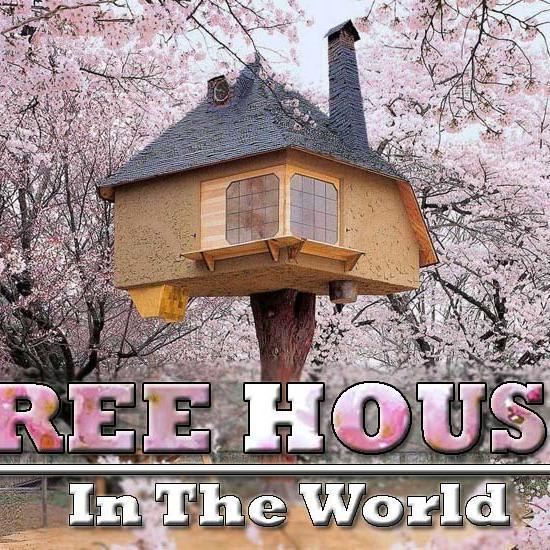Most Beautiful Tree Houses in the World for a Dream like Stay