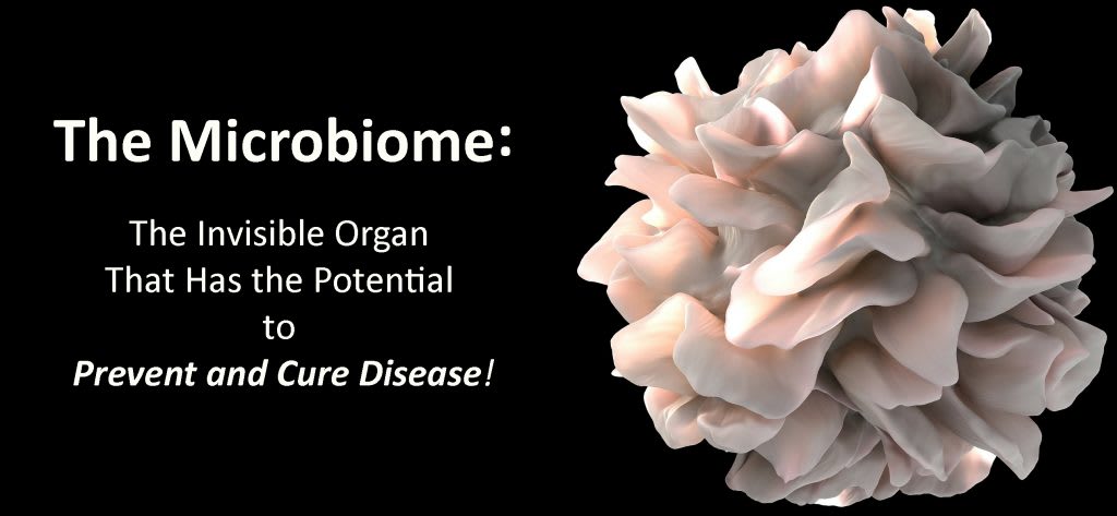 The Microbiome: The Invisible Organ That Has the Potential to Prevent & Cure Disease - Caleb's Cooking Company