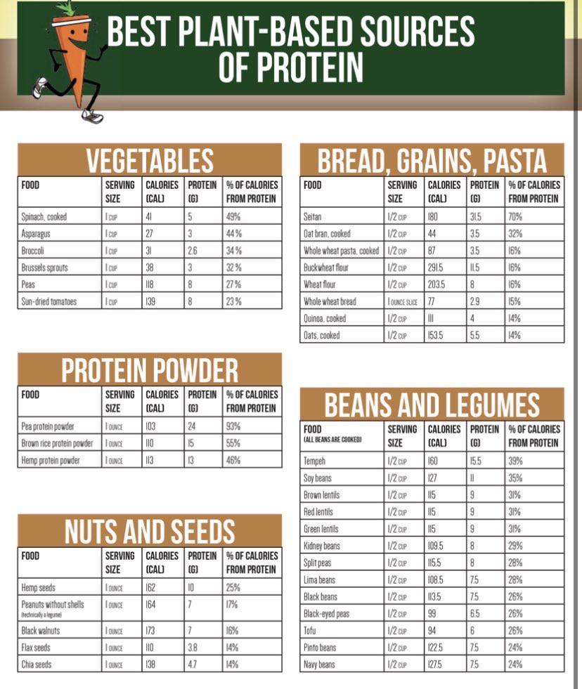Protein sources info graphic including % calories from protein