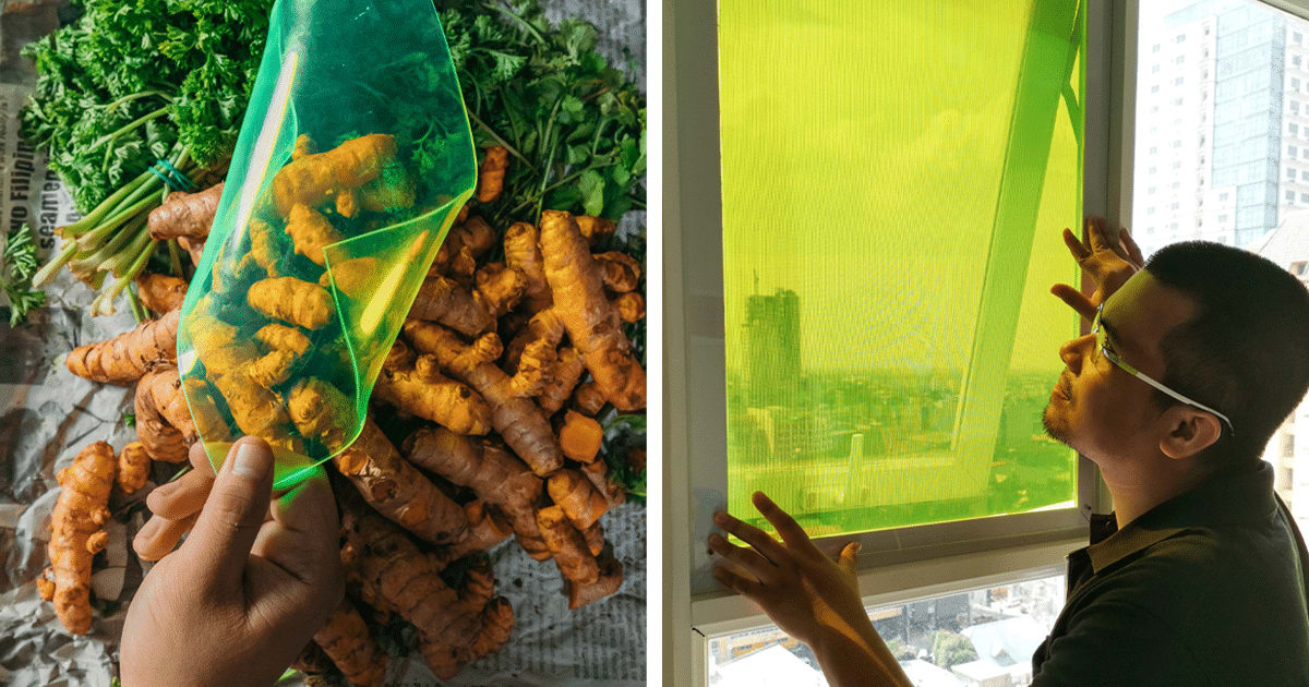 Student Creates Solar Panels Made From Food Waste That Can Produce Energy Even on Cloudy Days