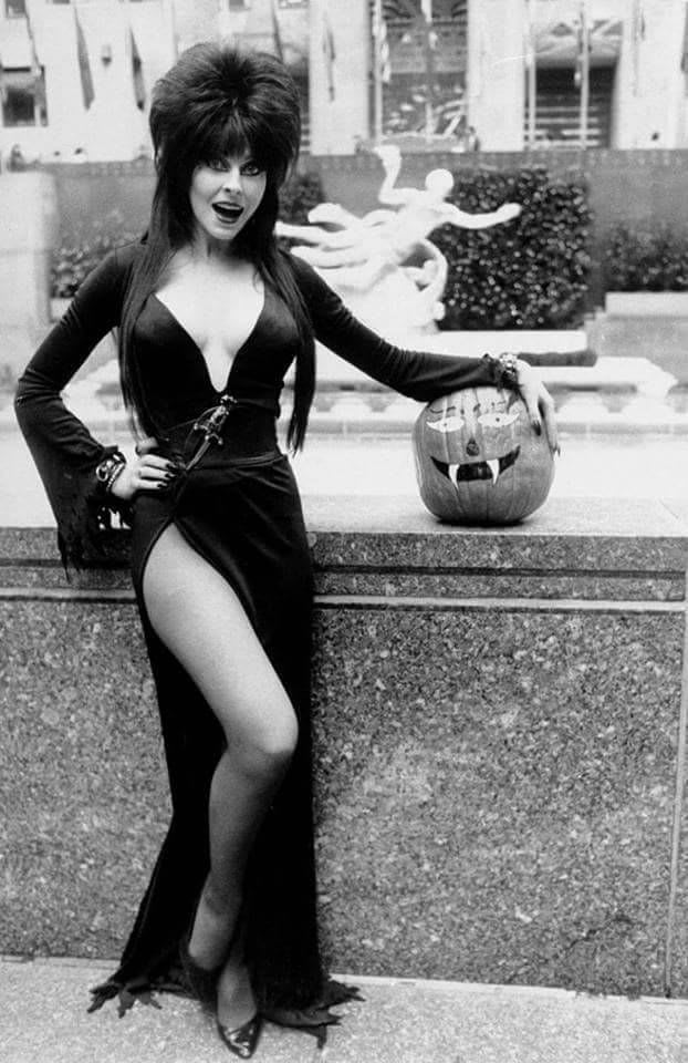 Pin by Daily Doses of Horror & Hallow on Elvira: Mistress of the Dark | Mistress, Elvira movies, Cassandra peterson