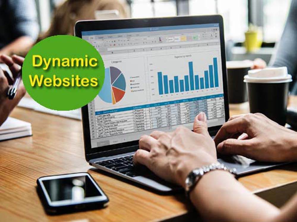 Dynamic Website Development in Bhubaneswar
