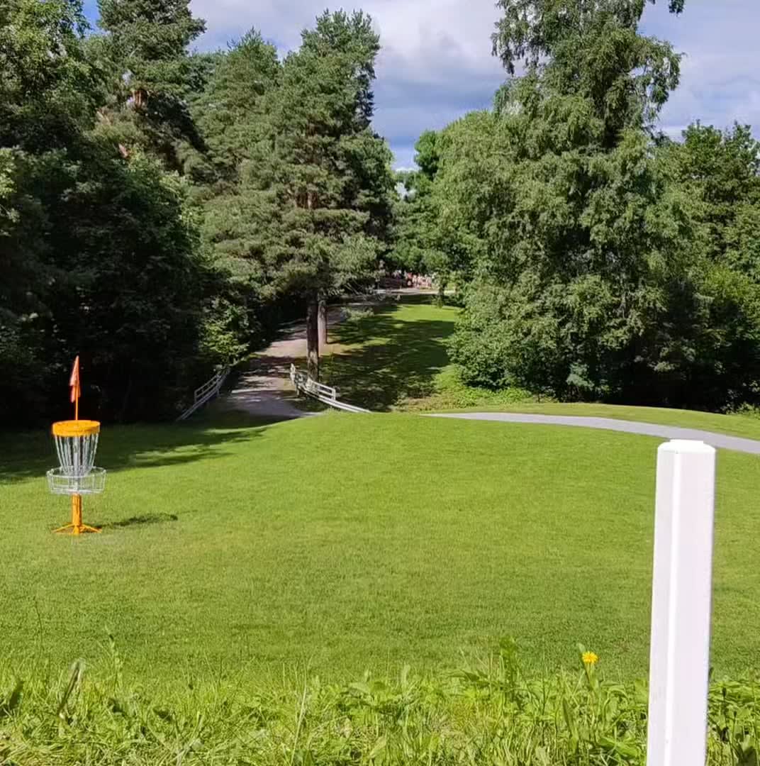 Big Jerms ace at hole #14 European Open