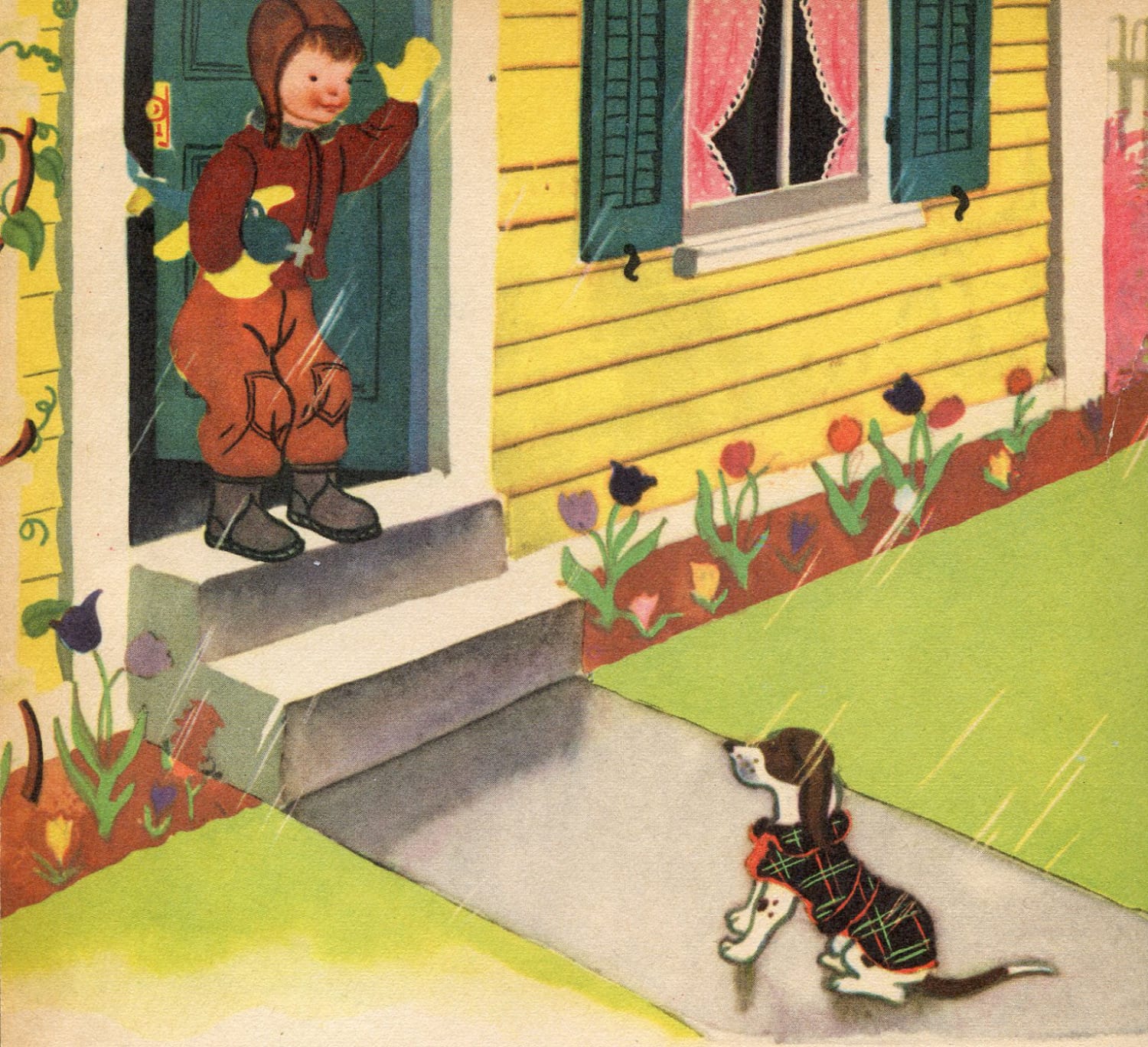 It was suppose to rain cats dogs but apparently it only rained dog