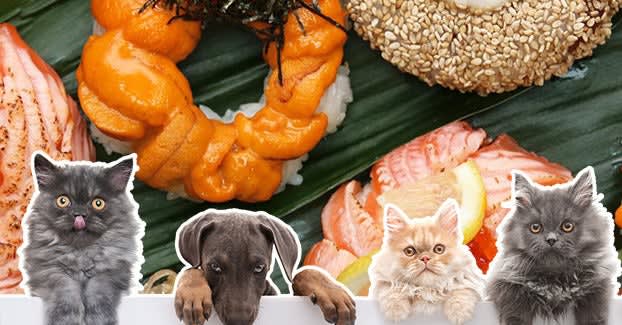 Pick Some Pets To See What You Should Have For Dinner Tonight