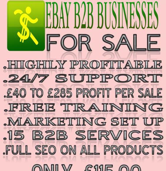 B2B BUSINESS FOR SALE