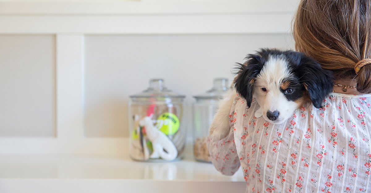 How a Pro Organizer Keeps Her Home Tidy With a Messy Puppy