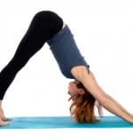 Yoga Teacher Training: The Neck - Yoga Practice Blog