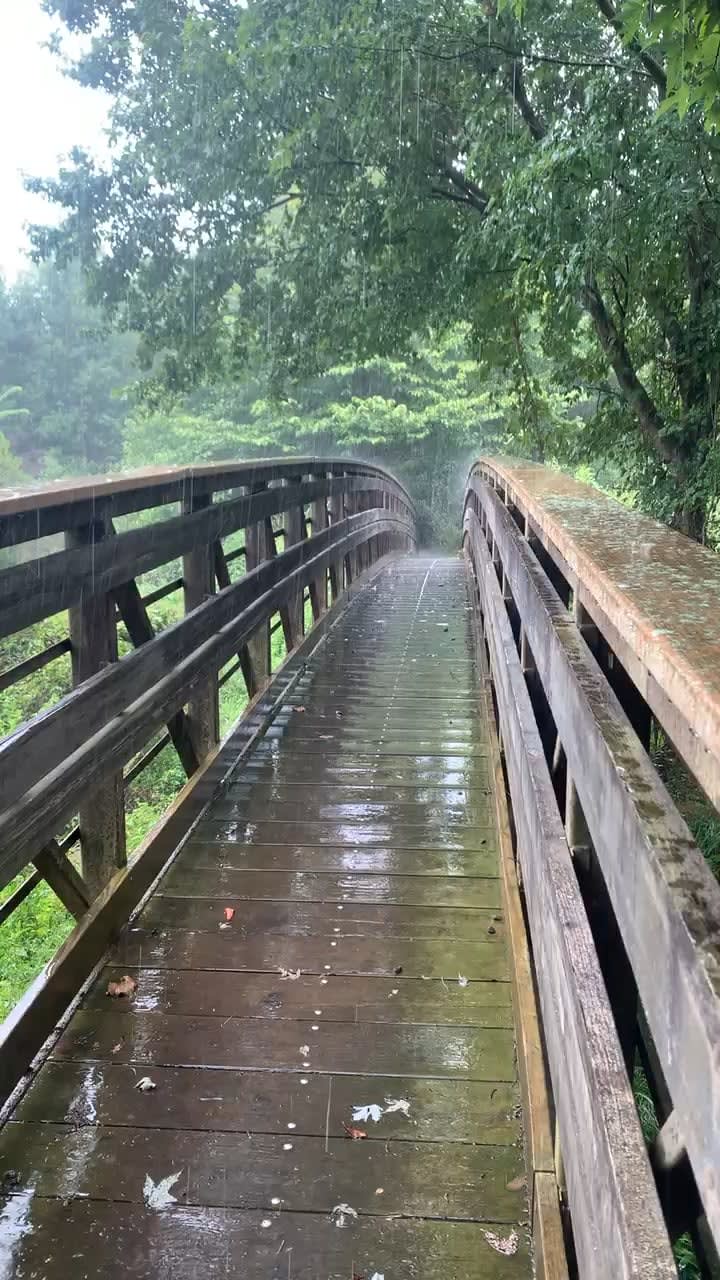 My brother got caught in this wonderful summer rain on a bridge during his morning walk ❤️
