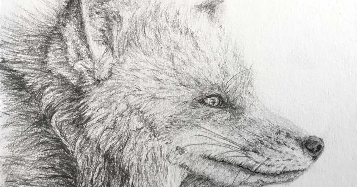 How to Draw with a Mechanical Pencil
