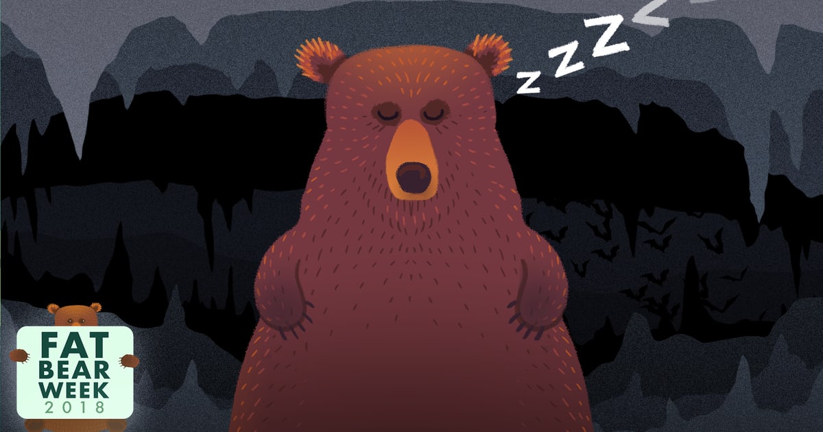 Bear hibernation is a superpower, but it comes with a cost