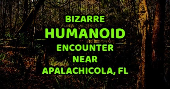 Bizarre Humanoid Encounter Near Apalachicola, Florida