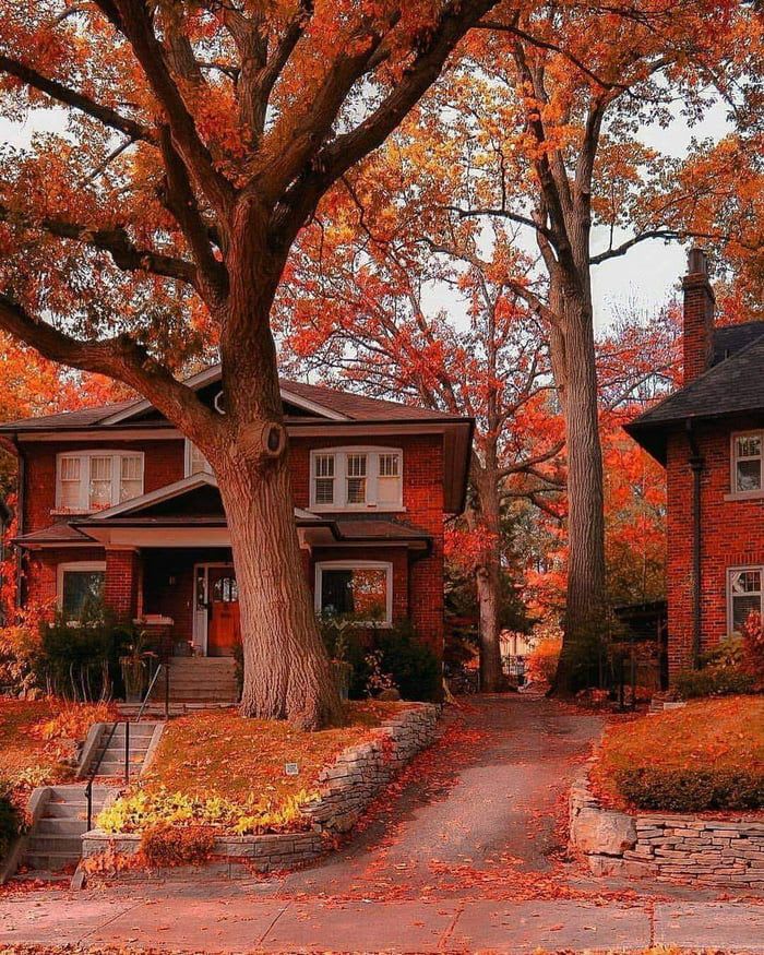 Relaxing Fall in Toronto - Cozy & Comfy