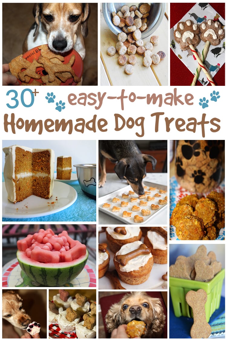 30+ Easy To Make Homemade Dog Treats