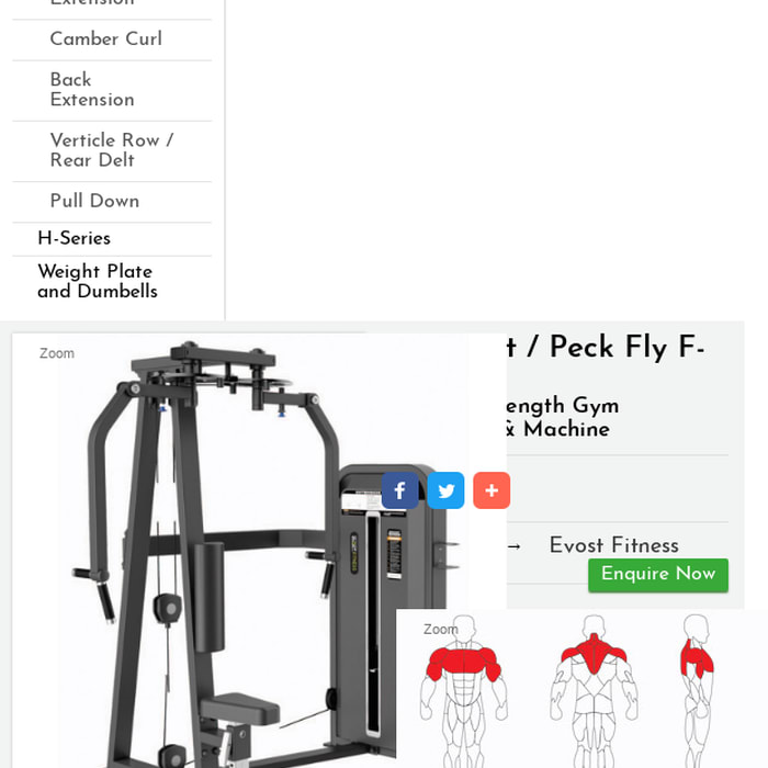 Evost Rear Delt / Peck Fly F-5007Fitness / Strength Gym Equipments / Machines Brands India