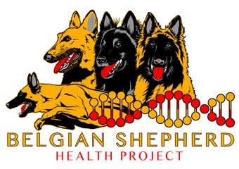 Belgian owners, do you know about the Belgian Shepherd Health Project ?