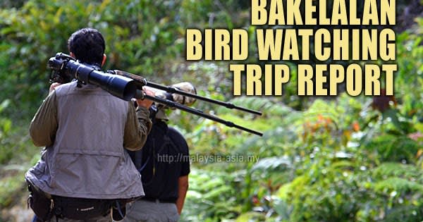 Bakelalan Bird Watching Trip Report