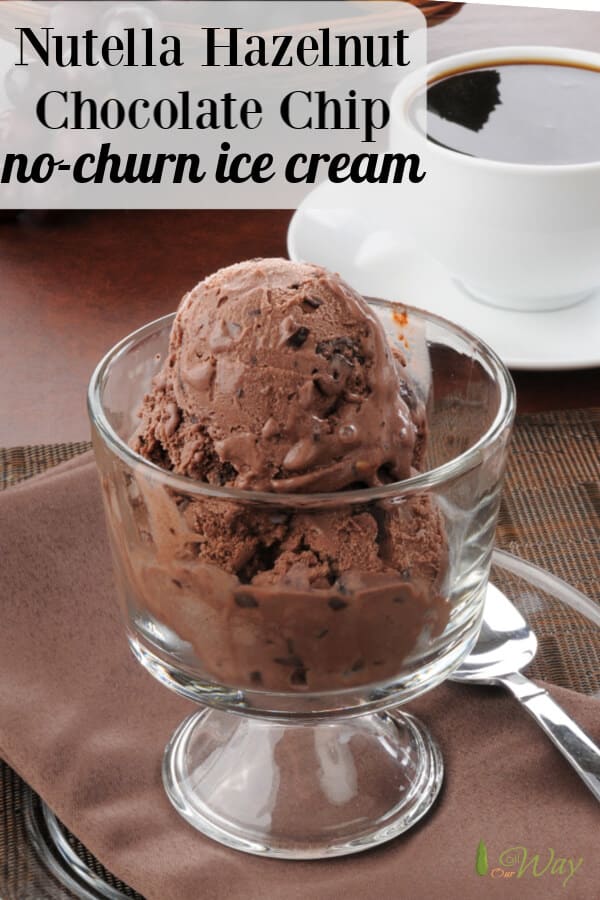 No Churn Nutella Hazelnut Chocolate Chip Ice Cream