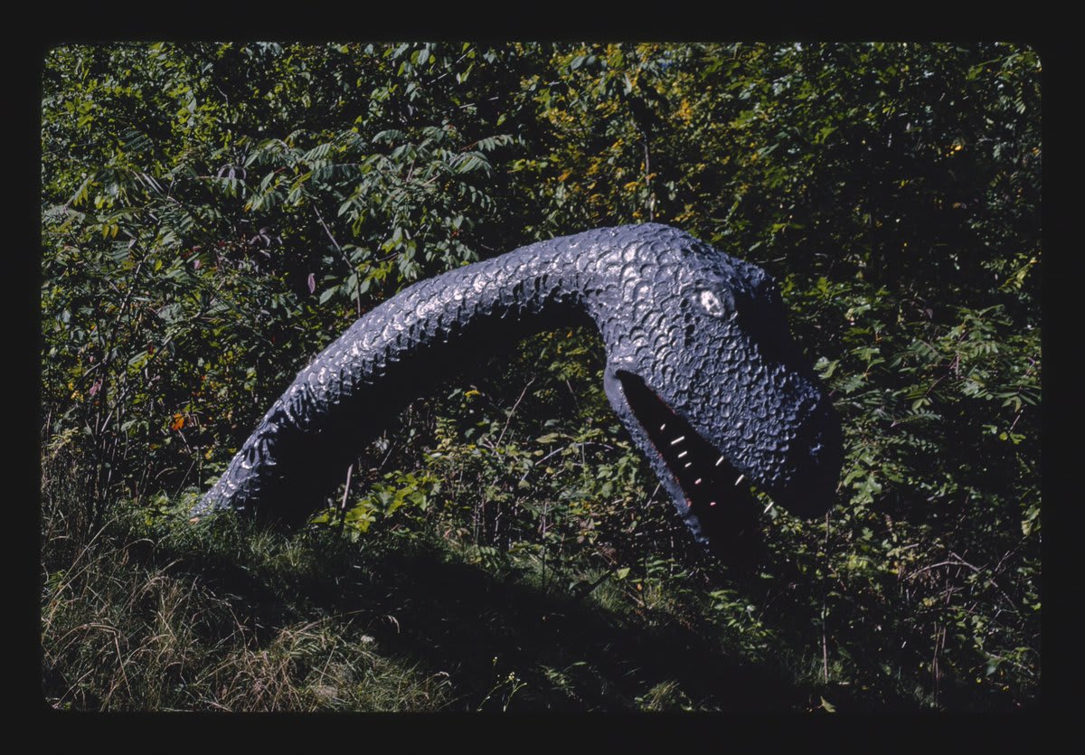 prehistoric forest, onsted, michigan, 1988