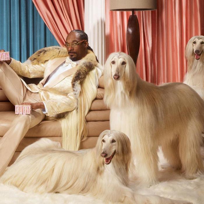 'Smoooth Dogg': Snoop Dogg just backed a Swedish online payments unicorn