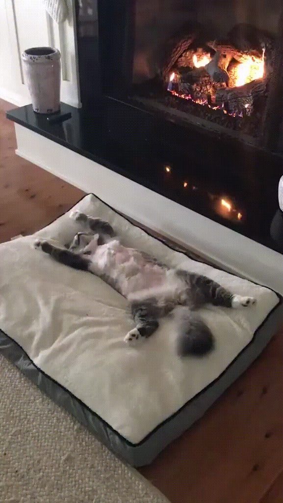 This fireplace energy.