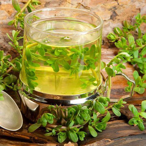 Bacopa Benefits: 12 Reasons It's Good for Your Brain