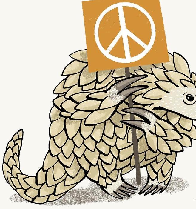 Could Vietnam win the battle to save the pangolin?