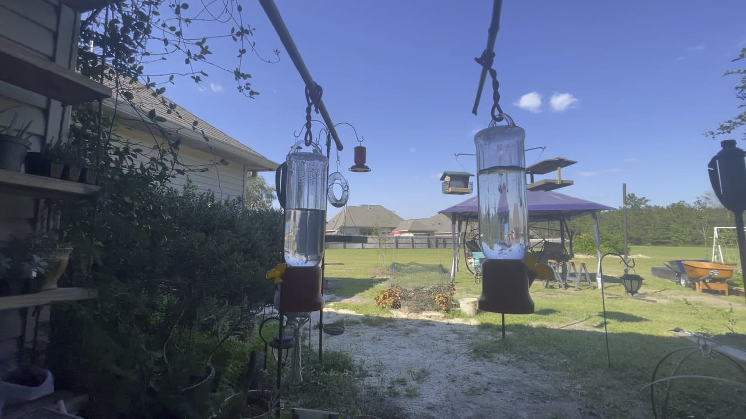 Counter-surveillance: Hummingbirds aren’t real…they can’t even walk or hop