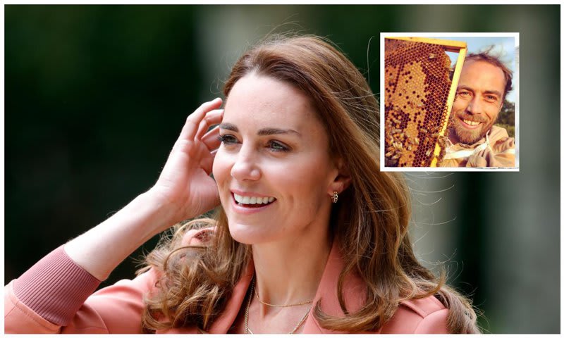 Kate Middleton has her own beehive just like her little brother James