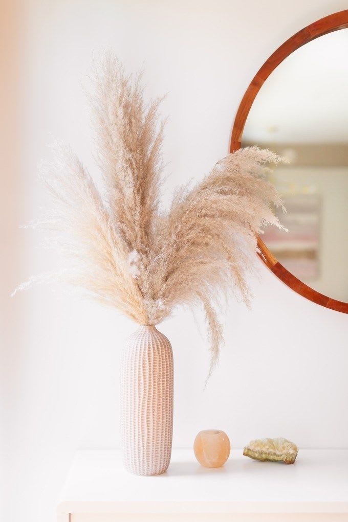 ALL ABOUT PAMPAS GRASS - JustineCelina