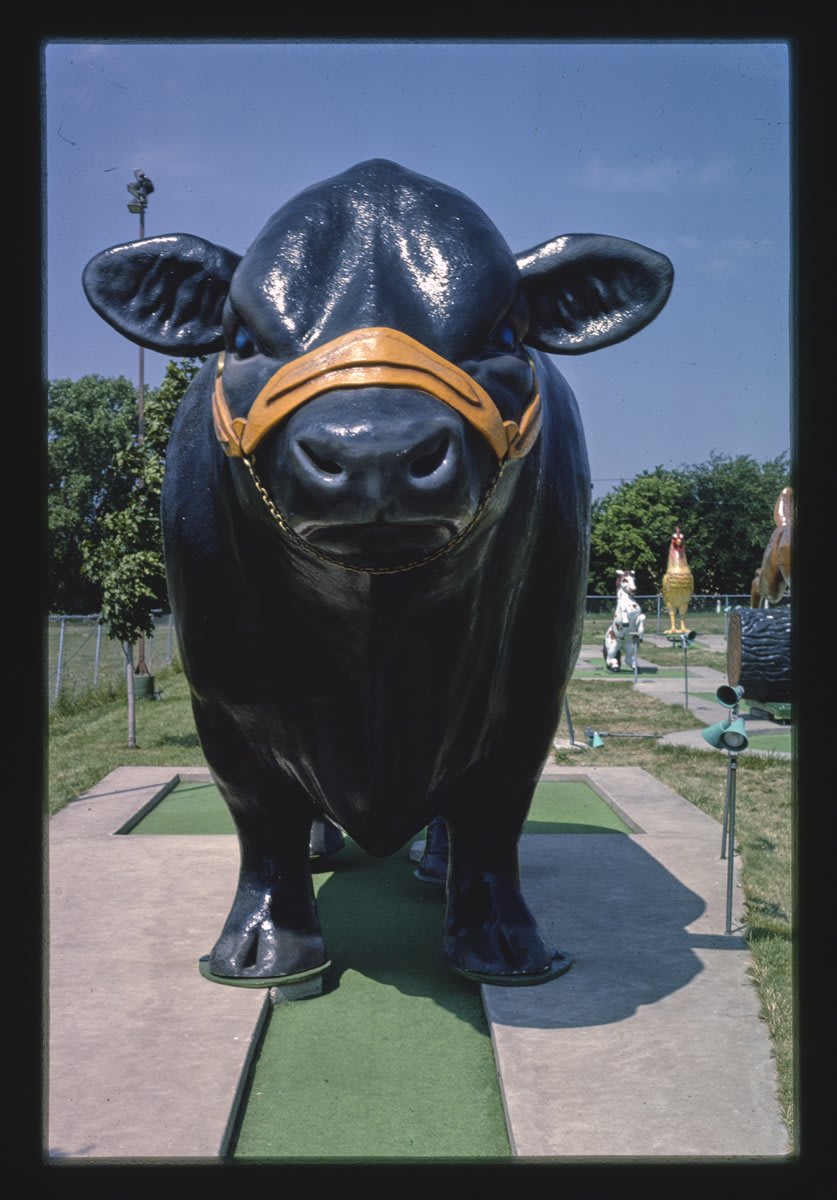 black bull hole, fairway golf, 1700 como avenue, st. paul, minnesota, 1984
