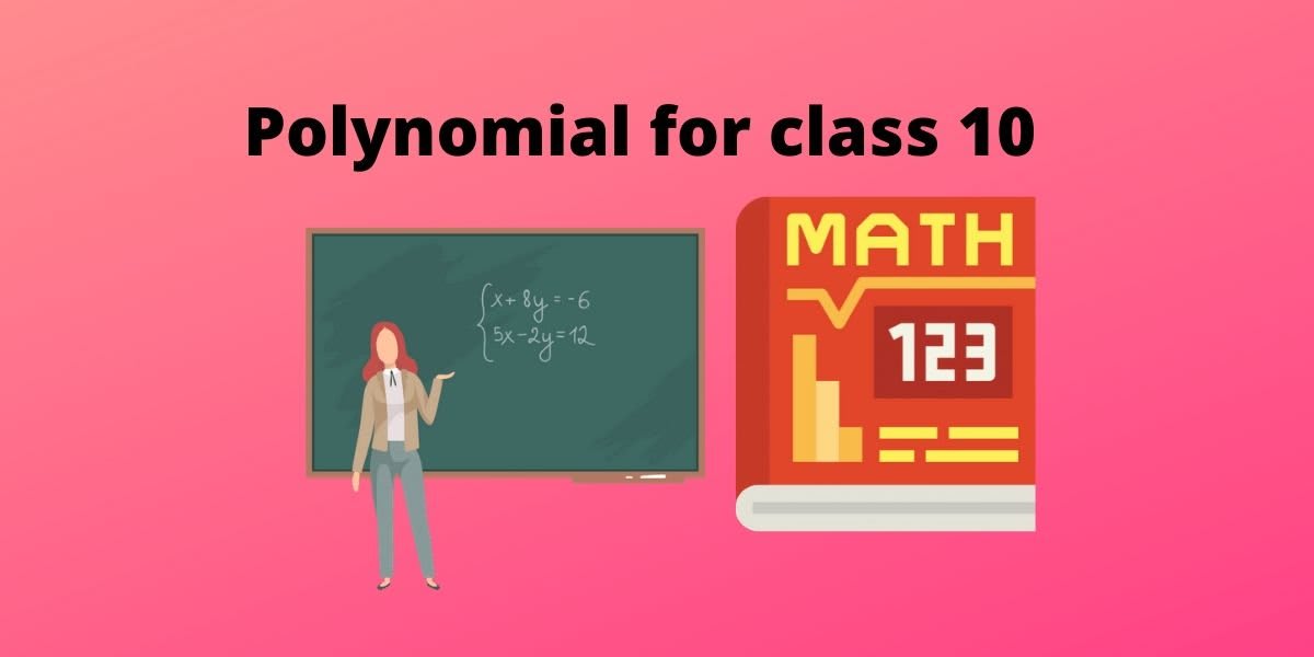 Polynomial for class 10 - Notes & All Concepts PDF - CBSE Digital Education