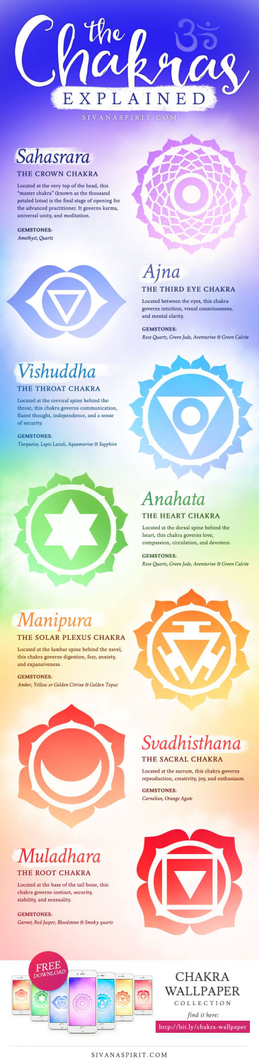 The Chakras Explained (Infographic) | Chakras explained, Chakra, Reiki symbols