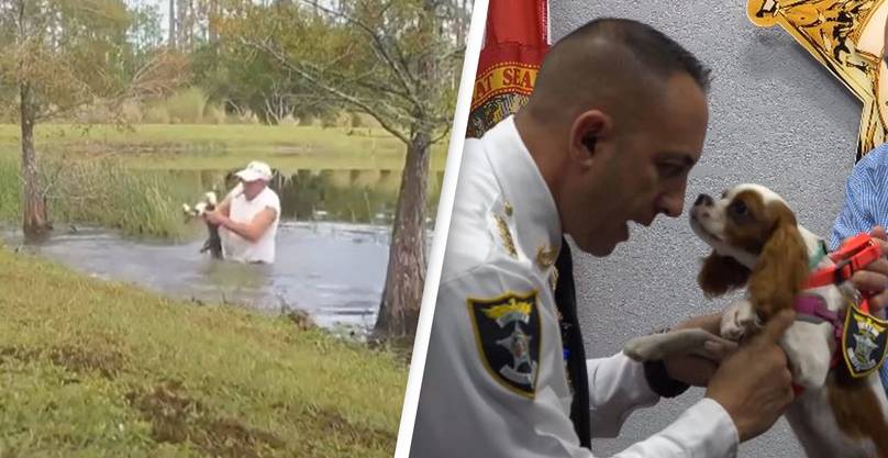 Dog Rescued From Alligator’s Jaws Made An Honorary Deputy In Florida