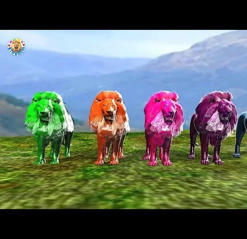 Lion colors finger family song ## learn colors with lion for kids toddlers Kids kingdom