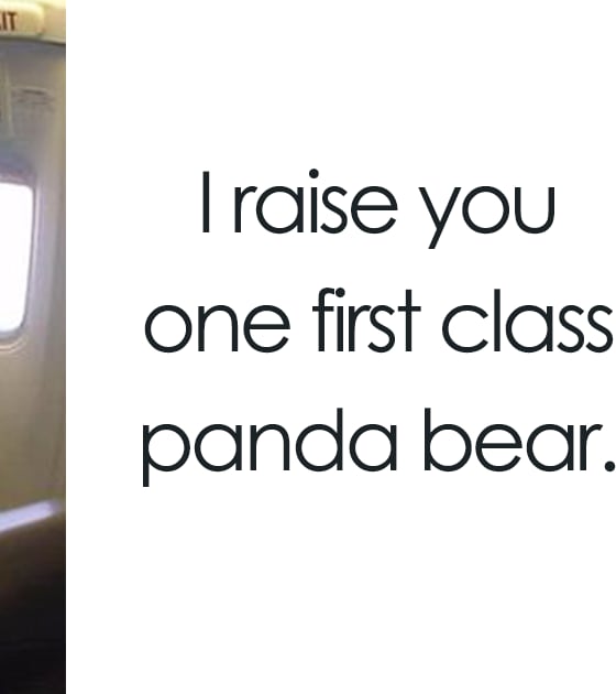 10+ Of The Funniest Things That Have Ever Happened On A Plane