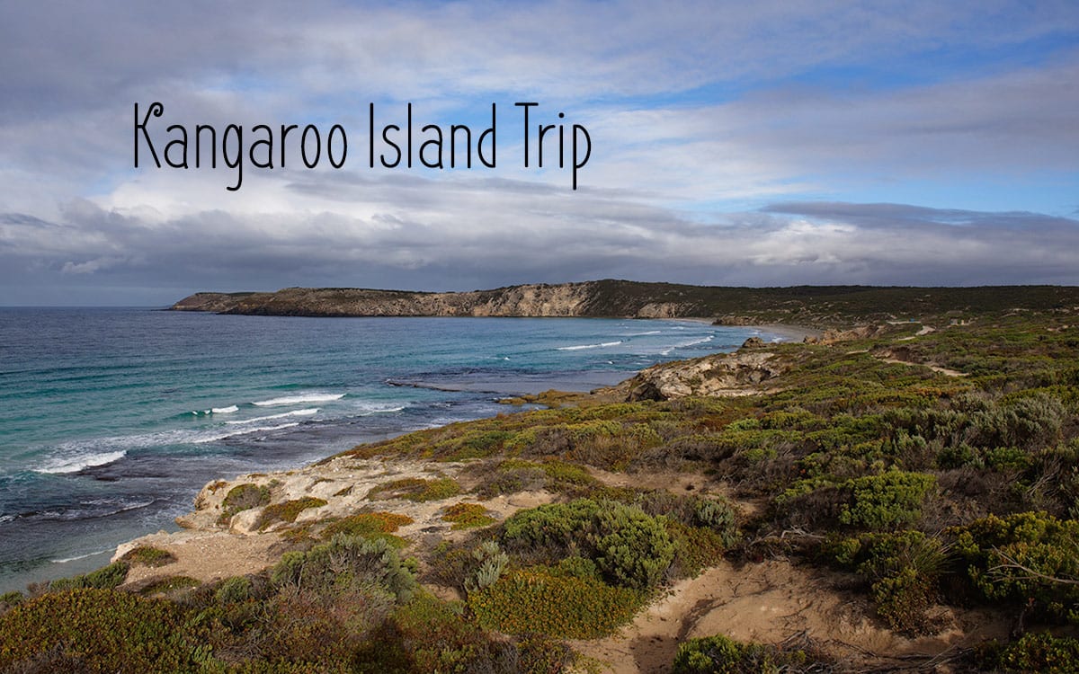 The Best Things to do on Your Kangaroo Island Trip