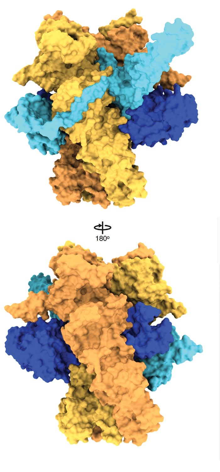 Protein folding: Much more intricate than we thought