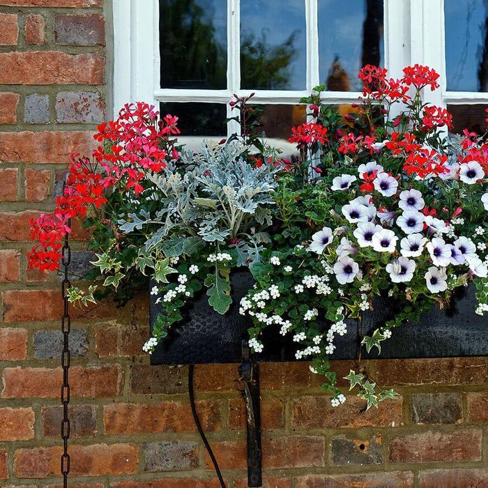 How to Plant in Window Flower Boxes : A Step-by-Step Guide - KUKUN