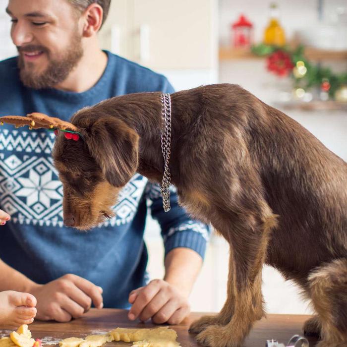 5 Holiday Foods That Are Dangerous to Pets