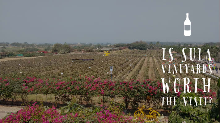 Is Sula Vineyards worth the visit? - Explore with Ecokats