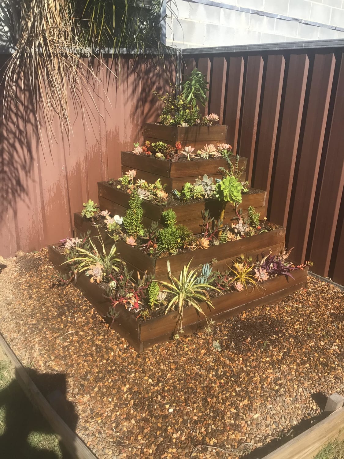 Fixed up some subsidence in my succulent pyramid, tidied up some of the plants….then gave them a nice shower! Looking forward to the spring now (Southern Hemisphere here)