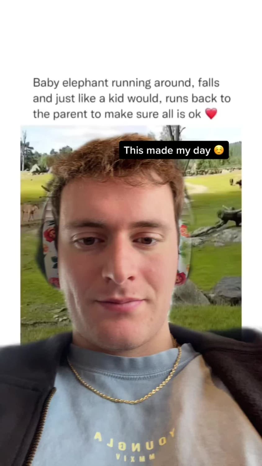 greenscreenvideo love cute trending heartwarming heartwarming videos