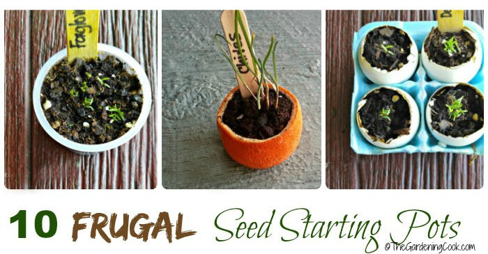 Frugal Seed Starting Pots and Containers - 10 Creative Ideas