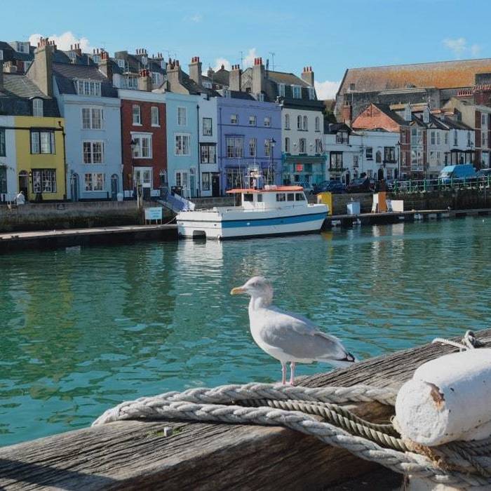 Things to do in Weymouth if you Only Have One Day (A Local's Guide)