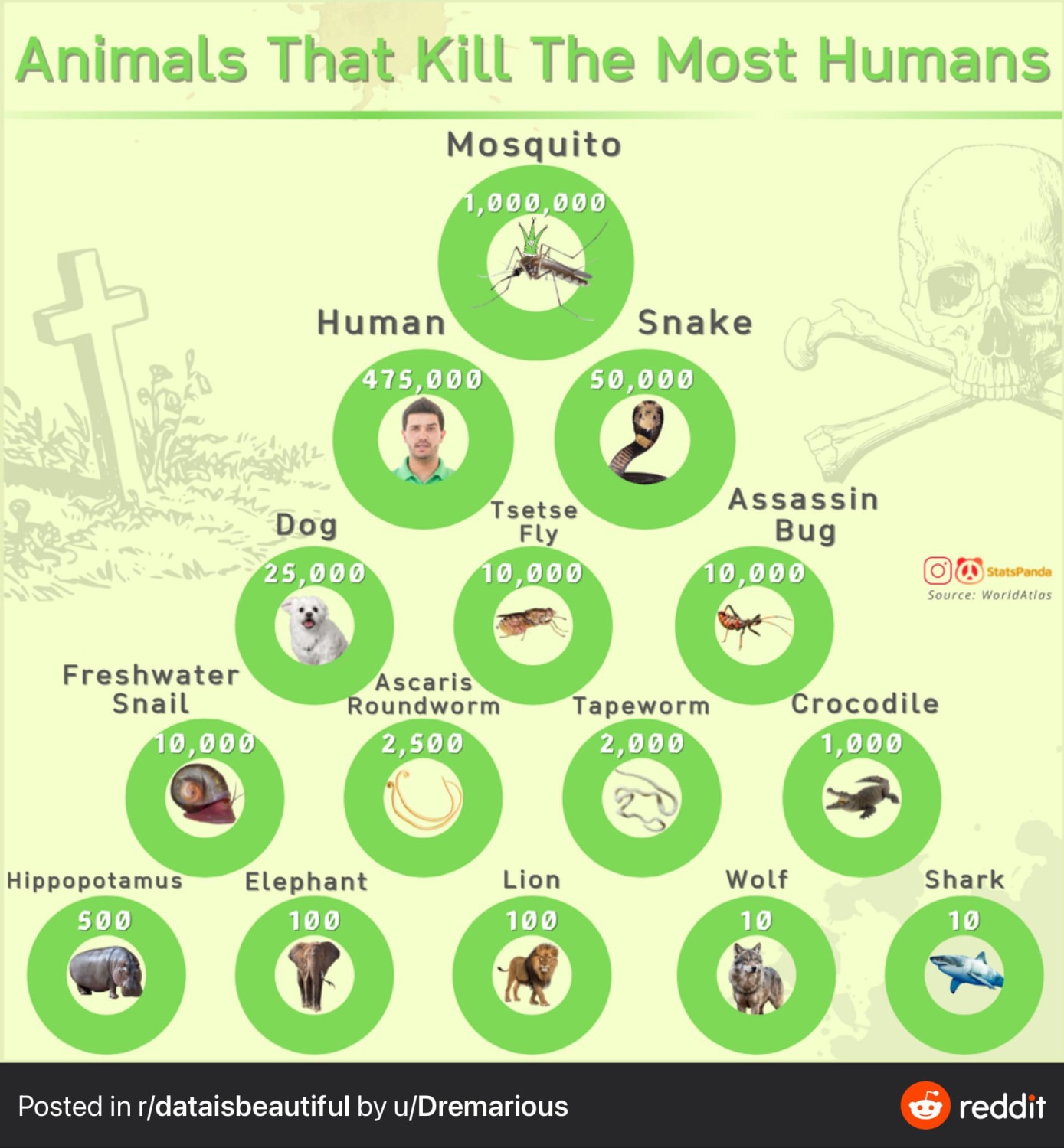 Animals that kill most humans