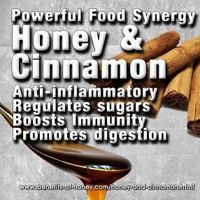 12 Benefits of Honey and Cinnamon Remedy