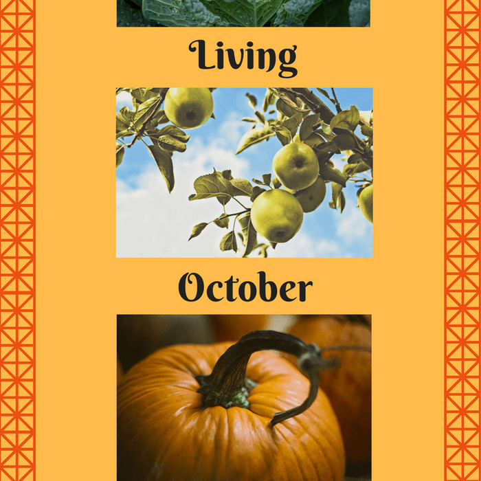 Healthy Living October is Here! - Balance & Blessings